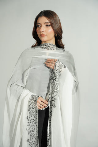 1 Piece Chiffon Embroidered Dupatta (FD0121)