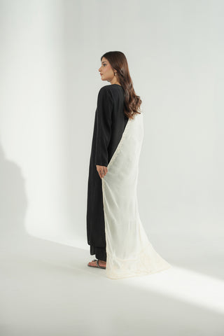 1 Piece Chiffon Embroidered Dupatta (FD0124)