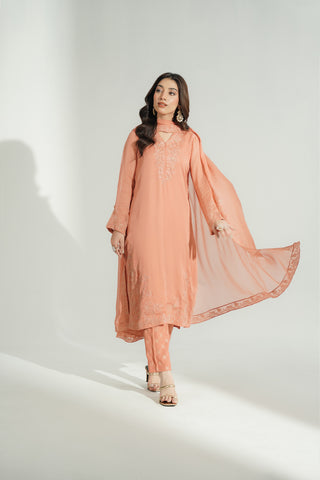 3 Piece Chiffon Embroidered Suit (FL0194)