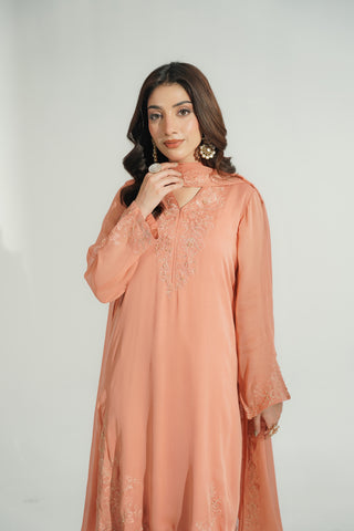 3 Piece Chiffon Embroidered Suit (FL0194)