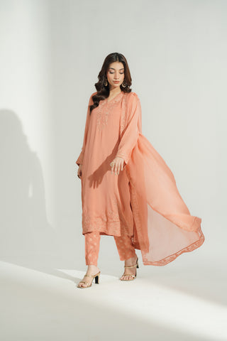 3 Piece Chiffon Embroidered Suit (FL0194)
