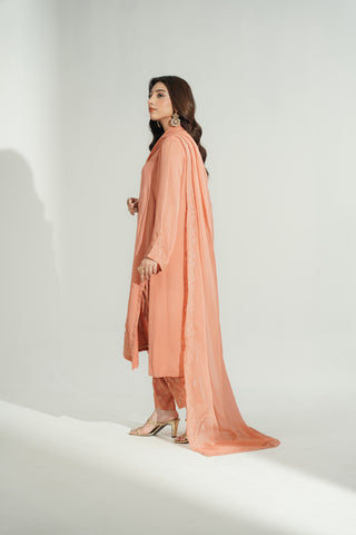 3 Piece Chiffon Embroidered Suit (FL0194)