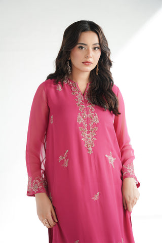 2 Piece Chiffon Embroidered Suit (FL0223)
