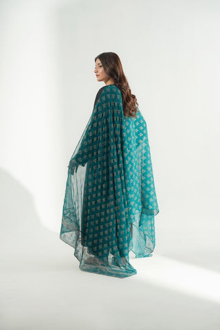 1 Piece Chiffon Embroidered Dupatta (FD0127)