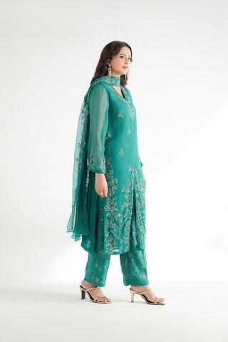 3 Piece Chiffon Embroidered Suit (FW0034)