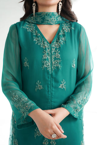 3 Piece Chiffon Embroidered Suit (FW0034)