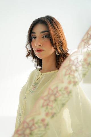 3 Piece Lawn Embroidered Suit (CS0483)