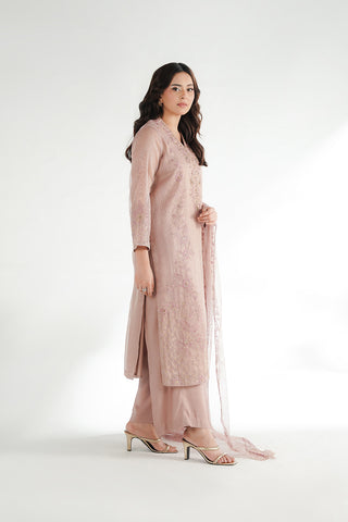3 Piece Emboss Net Embroidered Suit (FL0227)
