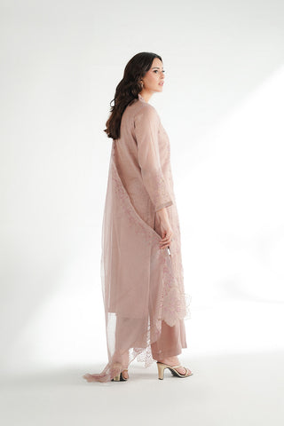 3 Piece Emboss Net Embroidered Suit (FL0227)
