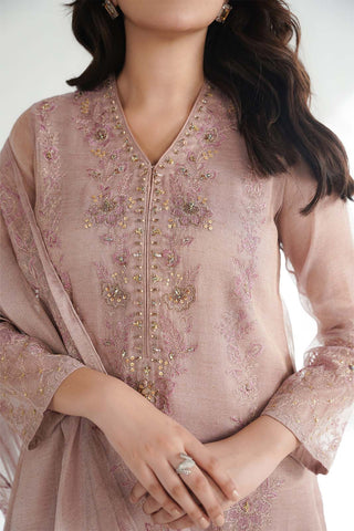 3 Piece Emboss Net Embroidered Suit (FL0227)
