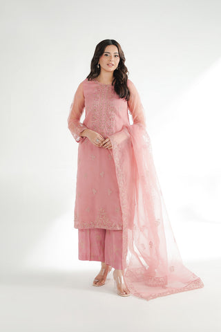 3 Piece Organza Embroidered Suit (FL0224)