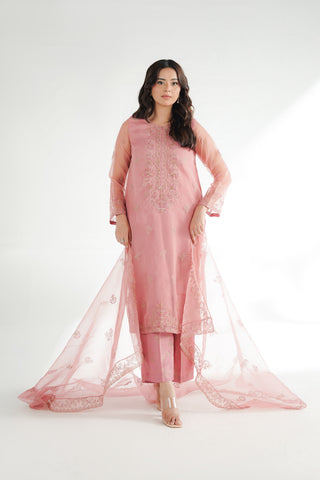 3 Piece Organza Embroidered Suit (FL0224)