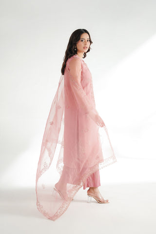 3 Piece Organza Embroidered Suit (FL0224)