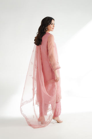 3 Piece Organza Embroidered Suit (FL0224)