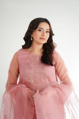 3 Piece Organza Embroidered Suit (FL0224)