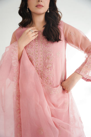 3 Piece Organza Embroidered Suit (FL0224)