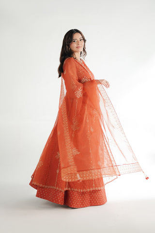 3 Piece Organza Embroidered Peshwas/Lehnga/Dupatta (FW0032)