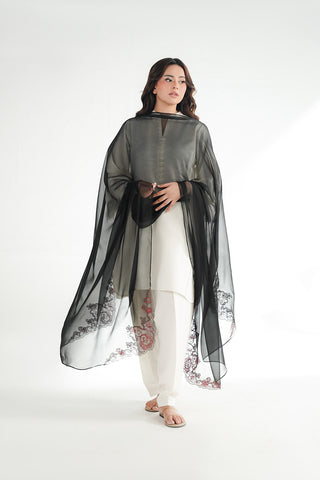 1 Piece Chiffon Embroidered Dupatta (FD0137)