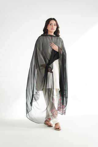 1 Piece Chiffon Embroidered Dupatta (FD0137)