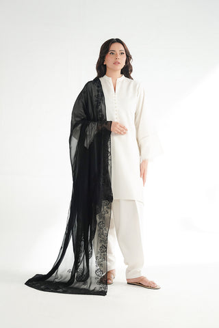1 Piece Chiffon Embroidered Dupatta (FD0135)