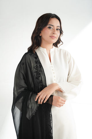 1 Piece Chiffon Embroidered Dupatta (FD0135)