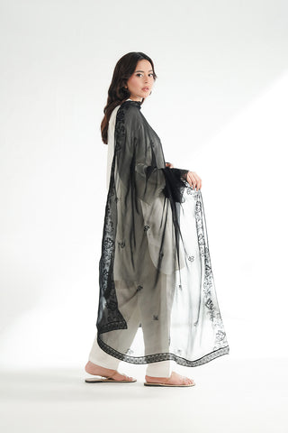1 Piece Chiffon Embroidered Dupatta (FD0135)
