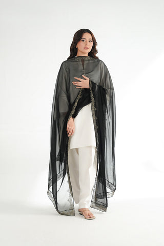 1 Piece Chiffon Embroidered Dupatta (FD0134)