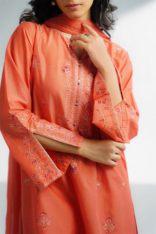 3 Piece Lawn Embroidered Suit (CS0575)