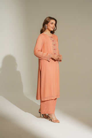 2 Piece Chiffon Embroidered Suit (FS0125)