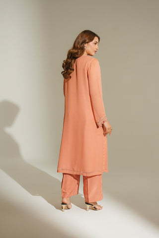 2 Piece Chiffon Embroidered Suit (FS0125)