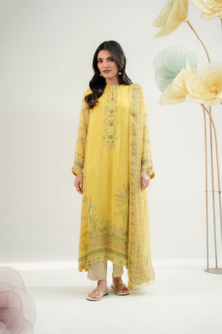 2 Piece Chiffon Printed Suit (FS0153)