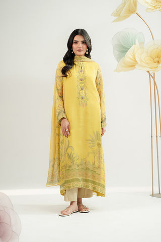 2 Piece Chiffon Printed Suit (FS0153)