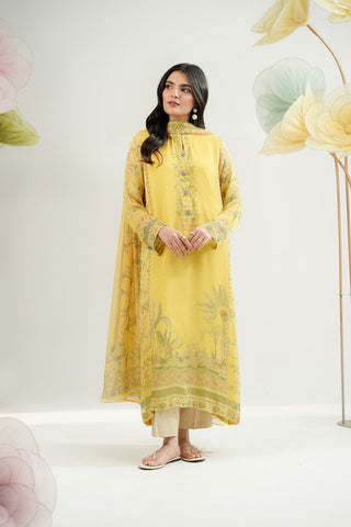 2 Piece Chiffon Printed Suit (FS0153)