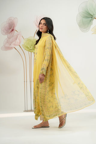 2 Piece Chiffon Printed Suit (FS0153)