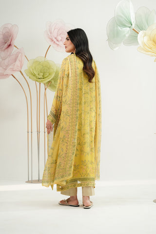 2 Piece Chiffon Printed Suit (FS0153)