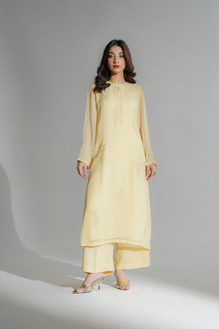 2 Piece Chiffon Embroidered Suit (FL0204)