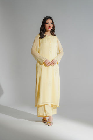 2 Piece Chiffon Embroidered Suit (FL0204)