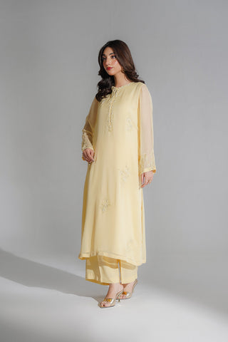 2 Piece Chiffon Embroidered Suit (FL0204)