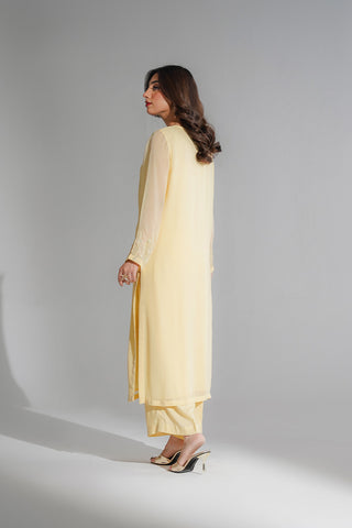 2 Piece Chiffon Embroidered Suit (FL0204)