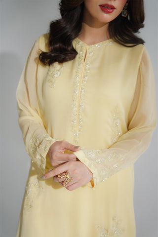 2 Piece Chiffon Embroidered Suit (FL0204)