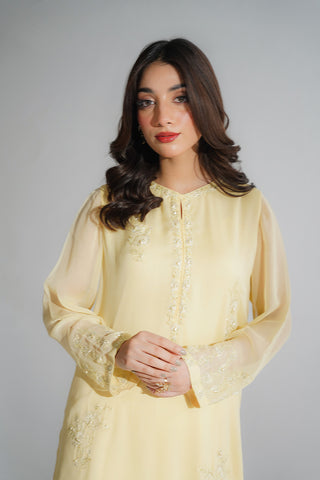 2 Piece Chiffon Embroidered Suit (FL0204)