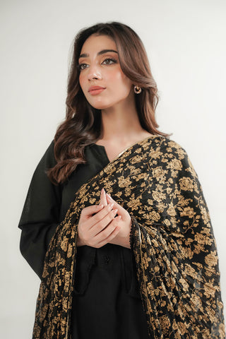 1 Piece Chiffon Printed Stole (CO0051)