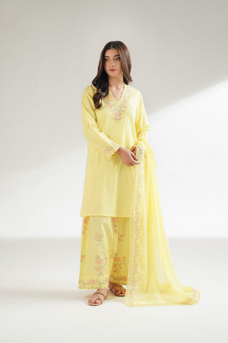 3 Piece Dobby Cotton Embroidered Suit (CS0561)