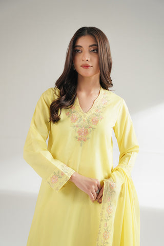 3 Piece Dobby Cotton Embroidered Suit (CS0561)