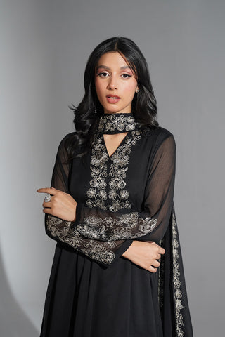 3 Piece Chiffon Embroidered Suit (FS0189)