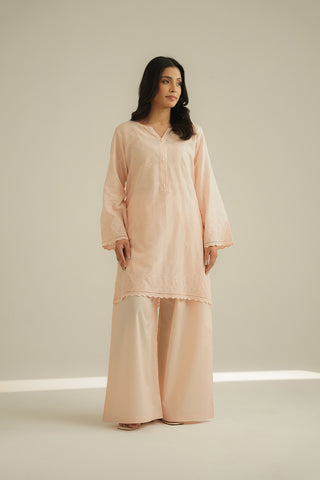 2 Piece Lawn Embroidered Suit (CS0449)