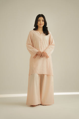 2 Piece Lawn Embroidered Suit (CS0449)