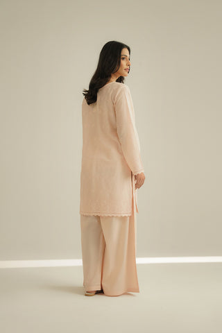 2 Piece Lawn Embroidered Suit (CS0449)