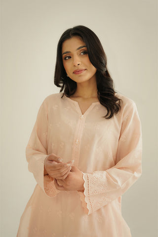 2 Piece Lawn Embroidered Suit (CS0449)