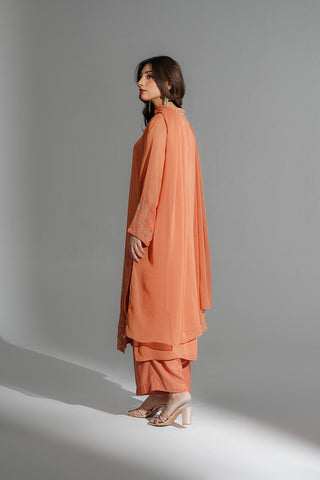 3 Piece Chiffon Embroidered Suit (FS0190)